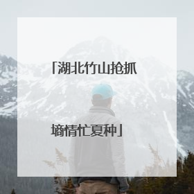 湖北竹山抢抓墒情忙夏种